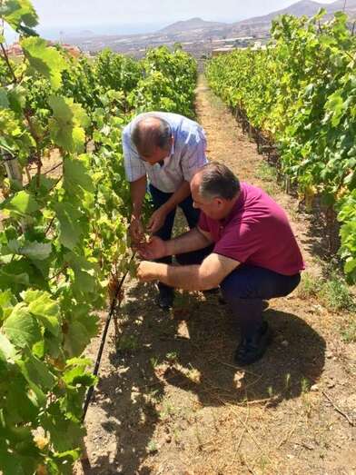 El alcalde en funciones, Juan Martel, y el viticultor Isaac Florido (Foto TA)